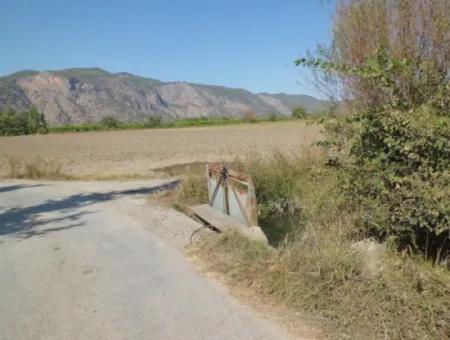 Field Share For Sale